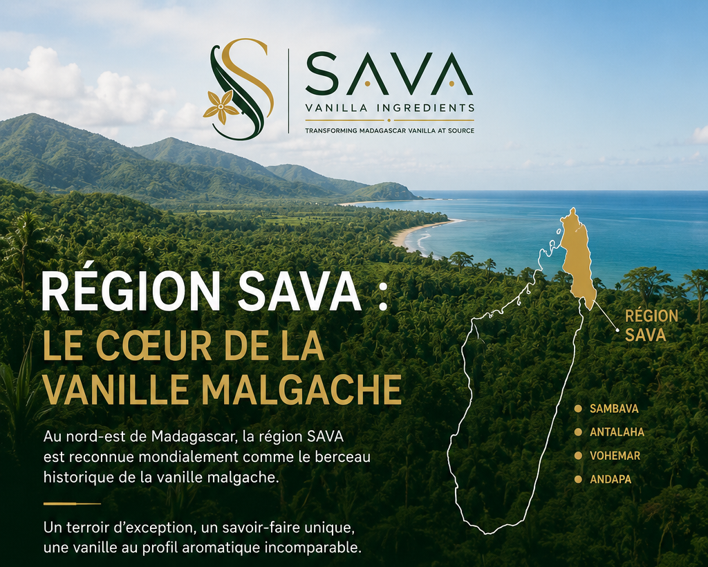 Région SAVA : le cœur de la vanille Malgache 2 region sava